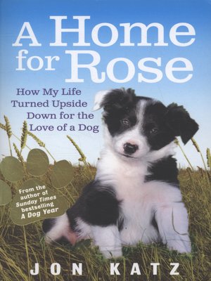 cover image of A home for Rose